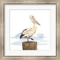 Framed 'Birds of the Coast on White III' border=