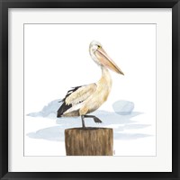 Framed 'Birds of the Coast on White III' border=