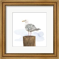 Framed 'Birds of the Coast on White IV' border=