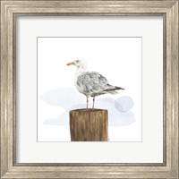 Framed 'Birds of the Coast on White IV' border=