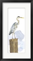 Birds of the Coast Panel I Framed Print