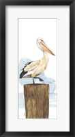 Birds of the Coast Panel III Framed Print
