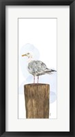 Birds of the Coast Panel IV Framed Print