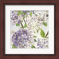 Framed 'Summer Hydrangea I' border=