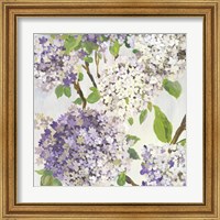 Framed 'Summer Hydrangea I' border=