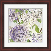 Framed 'Summer Hydrangea I' border=