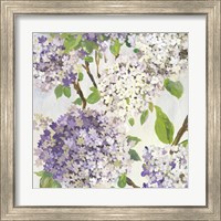 Framed 'Summer Hydrangea I' border=