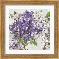 Framed 'Summer Hydrangea II' border=