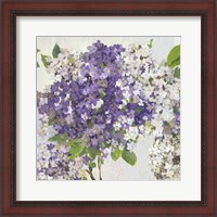 Framed 'Summer Hydrangea II' border=