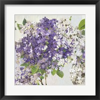 Summer Hydrangea II Framed Print