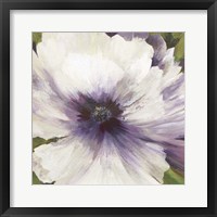 Violet Orchid I Framed Print