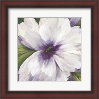 Framed 'Violet Orchid II' border=