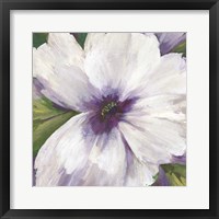 Violet Orchid II Framed Print