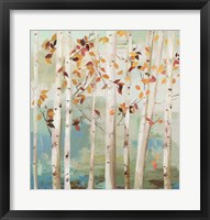 Framed Fall Birch Trees
