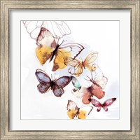 Framed 'Butterfly Fly Away I' border=