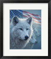 Framed Arctic Wolves America