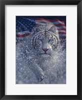 Framed White Tiger America