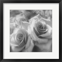 Framed Rose Pair B&W