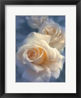 Framed White Roses - Unforgettable