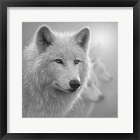 Framed Arctic Wolves - Whiteout - B&W