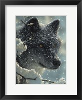 Framed Black Wolf - Black in White