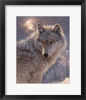 Framed Lone Wolf