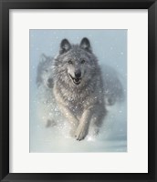 Framed Running Wolves - Snow Plow