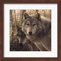 Framed Wolves - Woodland Companions