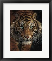 Framed Eye of the Tiger