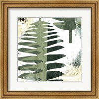 Framed 'Palms II' border=