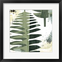 Framed Palms II