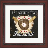 Framed 'Eat, Sleep, Play, Baseball' border=