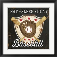 Framed 'Eat, Sleep, Play, Baseball' border=