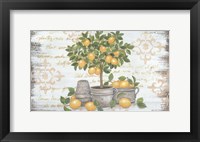 Framed Lemon Topiary