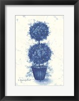 Blue Double Sphere Topiary Framed Print