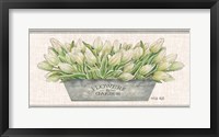 Framed Flowers & Garden White Tulips