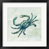 Indigo Sea Life II Framed Print