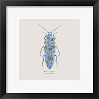 Framed 'Adorning Coleoptera VIII Sq Blue' border=