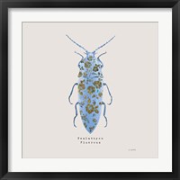 Framed 'Adorning Coleoptera VIII Sq Blue' border=