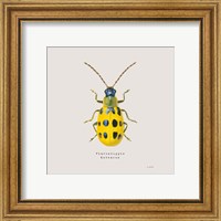 Framed 'Adorning Coleoptera VII Sq Golden' border=