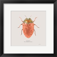 Framed 'Adorning Coleoptera V Sq Camelia' border=