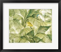 Tropical Canopy II Green Framed Print