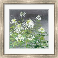 Framed 'Farmhouse Cleome II' border=