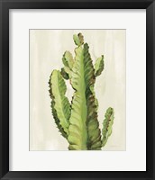 Front Yard Cactus II Framed Print