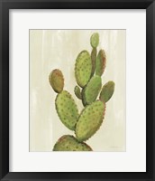 Front Yard Cactus I Framed Print