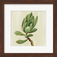 Framed 'Front Yard Succulent III' border=