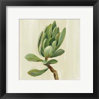 Framed 'Front Yard Succulent III' border=