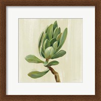 Framed 'Front Yard Succulent III' border=