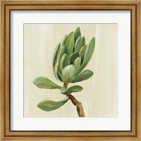 Framed 'Front Yard Succulent III' border=