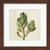 Framed 'Front Yard Succulent II' border=